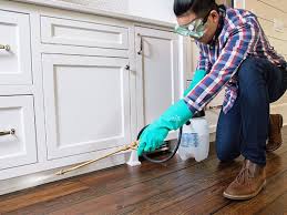 Real Estate Pest Inspections in Fowler, CA